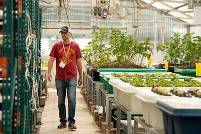 Lösungen für komplexe Probleme Ein Wissenschaftler läuft durch ein technisch innovatives Gewächshaus