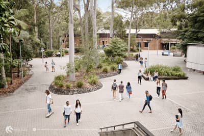 Wohnen auf dem Campus Der Callaghan Campus ist von Grün umgeben und durchzogen.