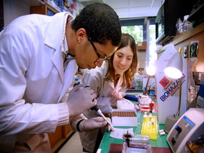 Auch Bachelorstudenten haben in den USA oft die Chance, an Forschungsprojekten teilzunehmen Studenten an der SJSU