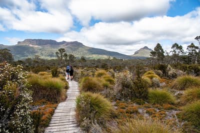 Seid ihr bereit für die Full Tassie Experience? Leute beim Bushwalk in Tasmanien