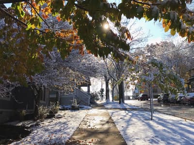 Welches Viertel Madisons wäre eure Wahl? Sonniger Wintertag in Madison