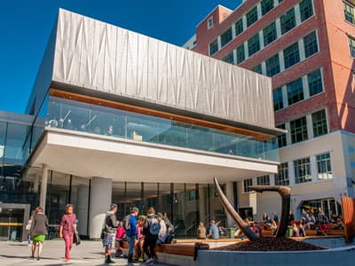 Das Herz der VUW: Der Kelburn Campus Kelburn Campus der VUW