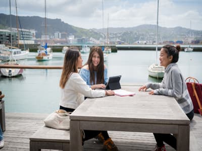 Natürlich haben Study Abroad-Studierende auch die Möglichkeit, an beiden Initiativen teilzunehmen Studenten der VUW am Hafen