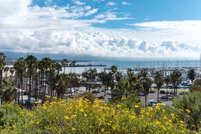 Tolle Aussichten Blick vom Campus aufs Meer und den Yachthafen.