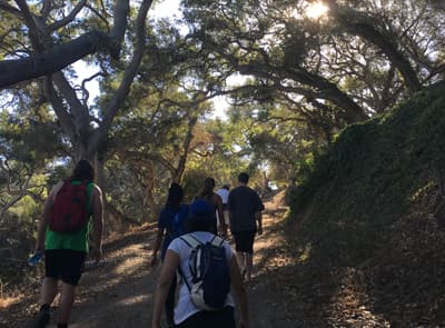 Volkssport: Hiken Gruppe beim Wandern in den Bergen, die Sonne scheint durch die gewundenen Äste der Bäume hindurch