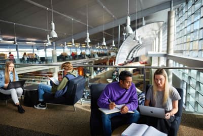 Die Bibliothek der University of Otago zählt zu Teris Lieblingsplätzen auf dem Campus. Studierende beim Lernen in der Bibliothek der University of Otago