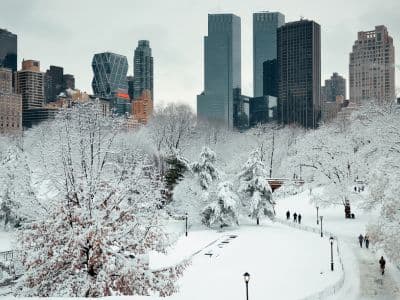 Der verschneite Central Park mit der Skyline im Hintergrund. Der Central Park im Winter mit der New Yorker Skyline im Hintergrund