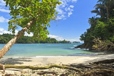 Karibikfeeling in Costa Rica: Malerischer Sandstrand im Manuel Antonio Nationalpark Strand im Nationalpark Manuel Antonio (Costa Rica)